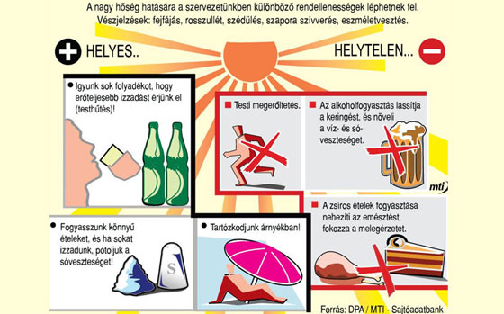 tanacsok_kanikullaban_hoseg.jpg